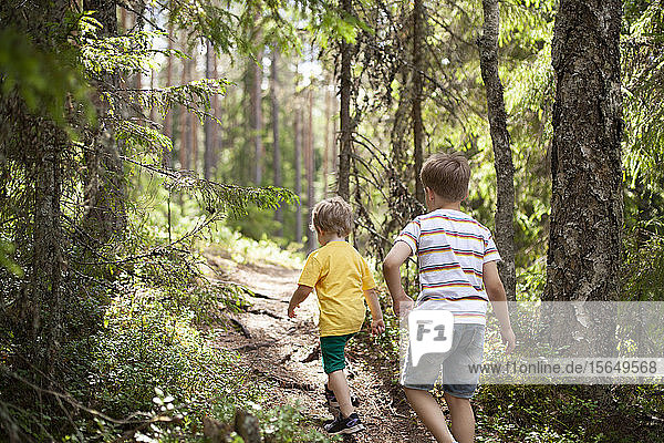 Brothers exploring forest  Finland