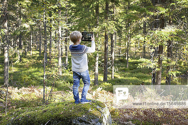 Boy taking photograph of forest