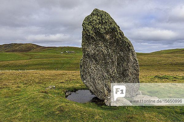 Boardastubble Standing Stone  größter Stein der Shetland-Inseln  Moorblick  Lund  Insel Unst  Shetland-Inseln  Schottland  Vereinigtes Königreich