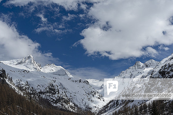Nationalpark Gran Paradiso  Aostatal  Italien