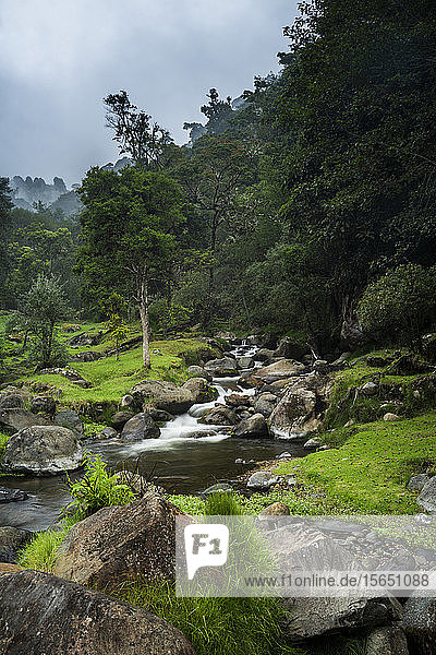 Savegre-Fluss (Rio Savegre)  San Gerardo de Dota  Provinz San José  Costa Rica