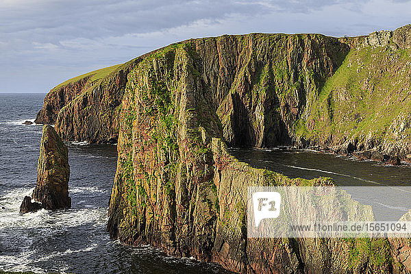 Westerwick  dramatische Küstenansichten  rote Granitklippen und Felsen  West Mainland  Shetlandinseln  Schottland  Vereinigtes Königreich