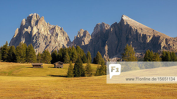 Seiseralm  Seiser Alm  Südtirol  Dolomiten  Italien