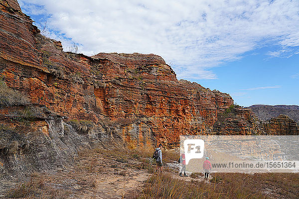 Eroded sandstone rock formations at Isalo National Park  Fianarantsoa province  Ihorombe Region  Southern Madagascar  Africa