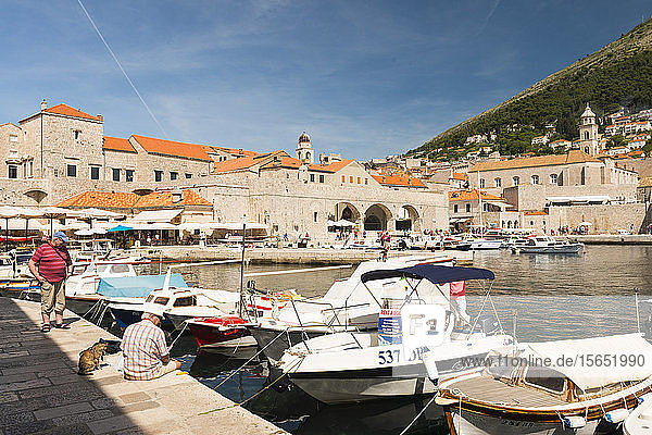 Dubrovniks alter Stadthafen  UNESCO-Weltkulturerbe  Dubrovnik  Kroatien  Europa