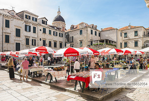 Grüner Markt in der Altstadt  Dubrovnik  Kroatien  Europa