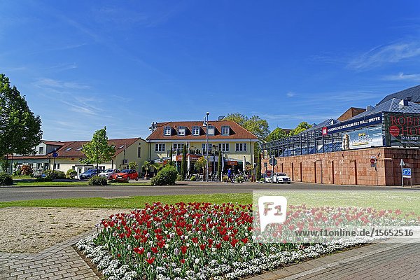 Platz der Partnerstaedte  Historisches Museum der Pfalz  Speyer  Rheinland-Pfalz  Deutschland  Europa