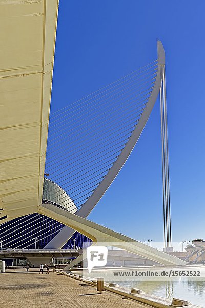 Museu de les Ciències Príncep Felip Ciutat de les Arts i les Ciéncies Valencia Spain Europe