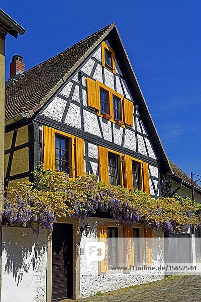 Timber framed house Traenkgasse Speyer Rhineland-Palatinate Germany Europe