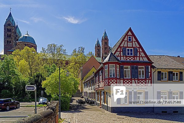 Gasthaus zum Halbmond  Speyer  Rheinland Pfalz  Deutschland  Europa