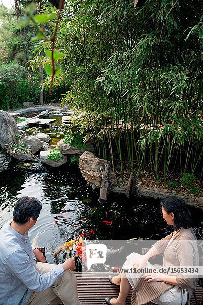 The elderly couple feed the fish in the yard