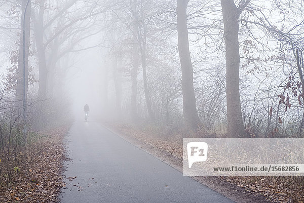 Radfahrer im Nebel  Schenefeld  Kreis Pinneberg  Schleswig-Holstein  Deutschland  Europa