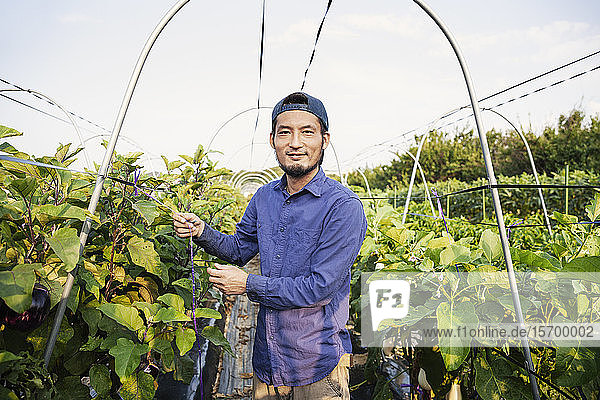 Lächelnder Japaner mit Mütze steht im Gemüsefeld und schaut in die Kamera.