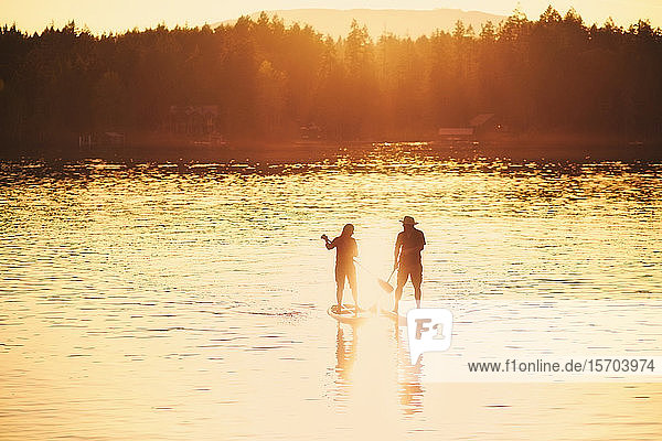 Silhouette couple standup paddleboarding on sunny sunset lake  Shawnigan Lake  Canada