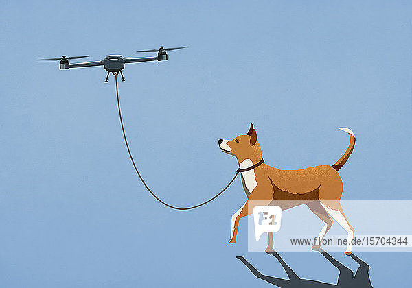 Drohne führt Hund an der Leine spazieren
