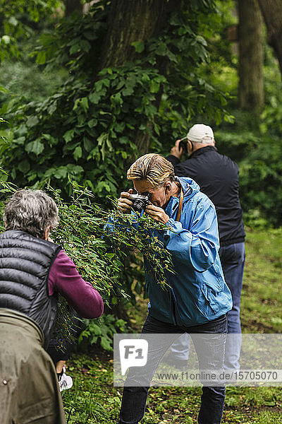 Ältere männliche und weibliche Freunde fotografieren während des Fotokurses Pflanzen mit der Kamera
