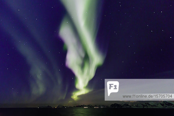 Nordlicht (Aurora Borealis)  spektakuläres Schauspiel im Winter  Norwegische See  vor den Lofoten  Nordland  Polarkreis  Nordnorwegen  Europa