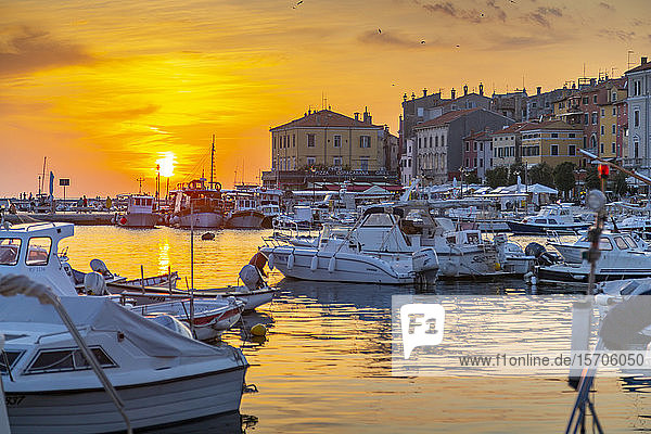 Blick auf den Hafen und die Altstadt bei Sonnenuntergang  Rovinj  Istrien  Kroatien  Adria  Europa