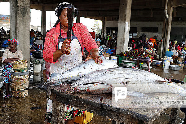 Thunfisch  Fischmarkt  Hafen von Lome  Togo  Westafrika  Afrika