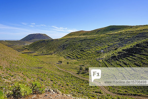 Spanien  Kanarische Inseln  Guinate  Schotterstraße durch grünes Tal mit terrassierten Feldern