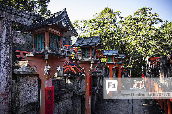 Japan  Präfektur Kyoto  Stadt Kyoto  Reihe alter Laternen im Fushimi Inari-taisha-Tempel