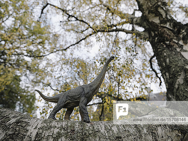 Dinosaur figurine on a tree in autumn