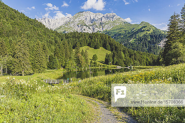 Österreich  Kärnten  Panoramablick auf den See im bewaldeten Tal der Karnischen Alpen im Sommer