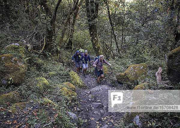 Wandergruppe in Dharapani  Dhaulagiri Circuit Trek  Himalaya  Nepal
