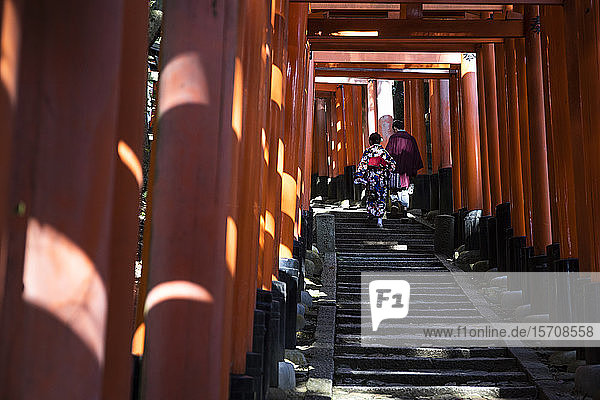 Japan  Präfektur Kyoto  Stadt Kyoto  Zwei Personen in traditionellen Kimonos gehen die Stufen des Torii-Pfades des Fushimi Inari-taisha-Tempels hinauf
