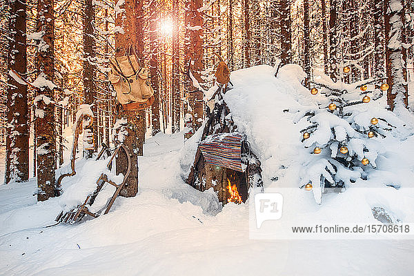Österreich  Salzburg  Altenmarkt-Zauchensee  Einfacher Weihnachtsbaum vor schneebedeckter Waldhütte bei Sonnenuntergang