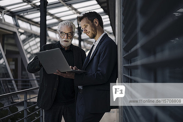 Two businessmen using laptop in office together