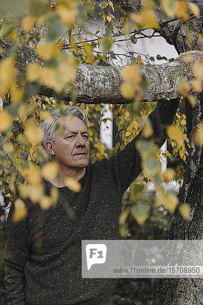 Porträt eines ernsthaften älteren Mannes am Baum im Garten