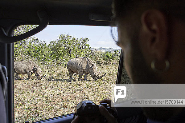 Mann  der ein Nashorn aus dem Autofenster fotografiert  Hluhluwe-Imfolozi-Park  Südafrika