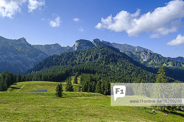 Deutschland  Bayern  Arzbach  Szenische Ansicht des bewaldeten Benediktenwandrückens