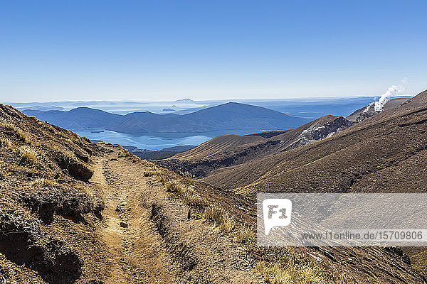 Neuseeland  Ozeanien  Nordinsel  Tongariro-Nationalpark  Vulkanplateau der Nordinsel  Tongariro Alpine Crossing Trail  Rotoaira- und Tauposee  Weg zur Ketetahi-Hütte  Te Maari-Krater  Dampf von den Ketetahi Hot Springs