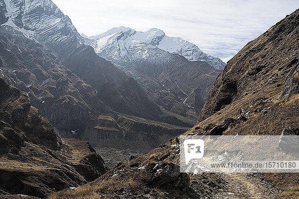 Wanderer auf dem Dhaulagiri-Rundwanderweg  Himalaya  Nepal