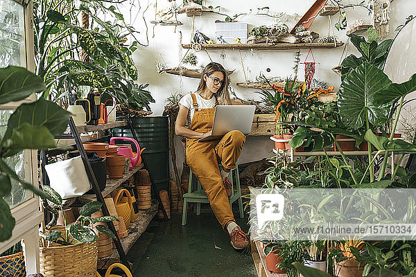 Young woman using laptop in a small gardening shop