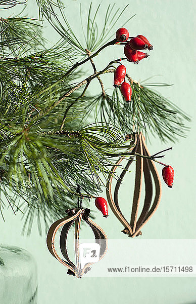 Leather Christmas ornaments on pine twig with red rosehips