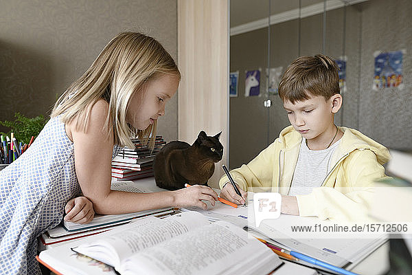 Brother and sister with a cat sitting at table at home doing homework together