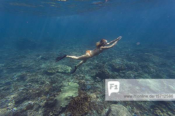 Young woman diving  Nusa Penida island  Bali  Indonesia