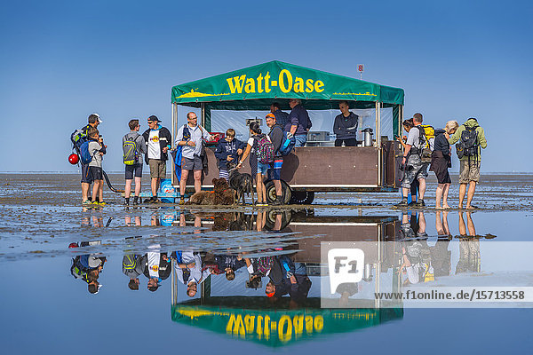 Wattoase Wadden Sea Lower Saxony Germany Europe