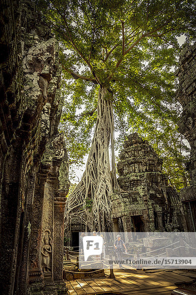 Ta Prohm Temple Angkor Wat Angkor Cambodia Asia