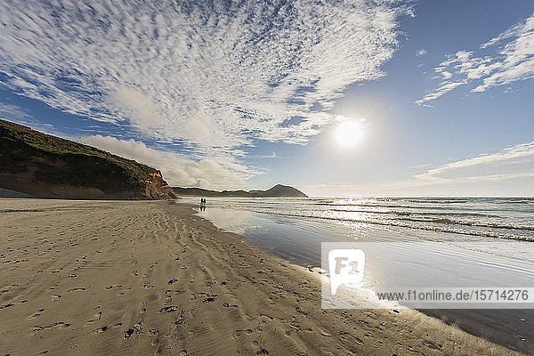 New Zealand  South Island  Tasman  Wharariki Beach