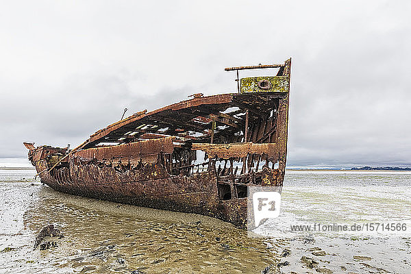 Neuseeland  Bezirk Tasman  Motueka  Schiffswrack der Rusty Janie Seddon