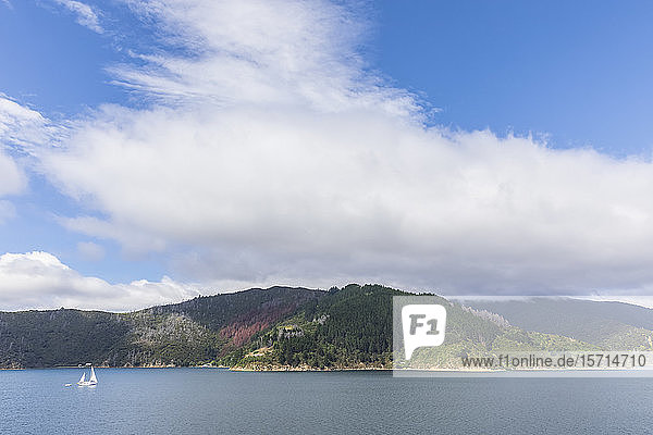 Neuseeland  Region Marlborough  Picton  Weiße Sommerwolken über den Marlborough Sounds und der bewaldeten Küstenlinie der Südinsel