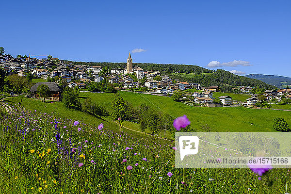 Italien  Südtirol  Jenesien  Grüne Frühlingswiese vor der Landstadt