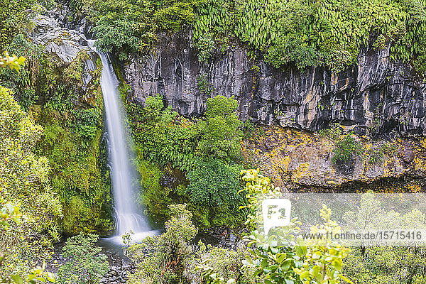 Neuseeland  Dawson Falls plätschert im Egmont National Park