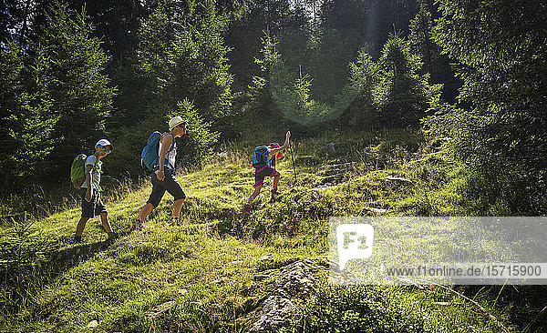 Mother with two children hiking in alpine scenery  Passeier Valley  South Tyrol  Italy