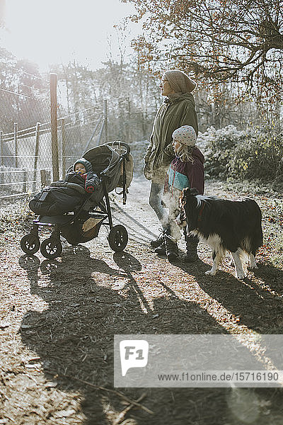 Mother with daughters and border collie during forest walk in autumn
