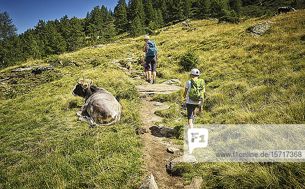 Mutter mit zwei Kindern wandert in alpiner Landschaft an einer Kuh vorbei  Passeiertal  Südtirol  Italien